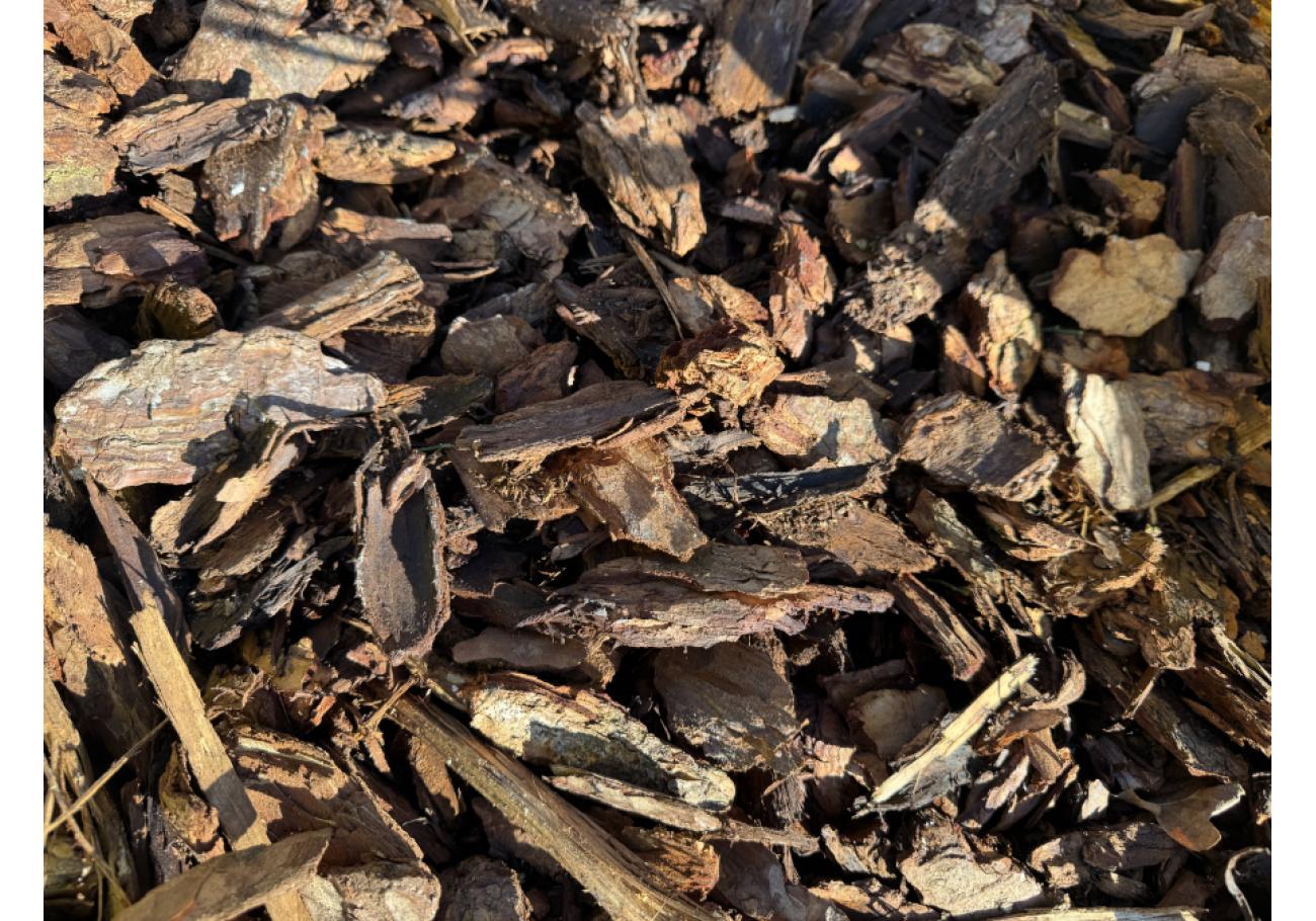 Melcourt Bark Nuggets