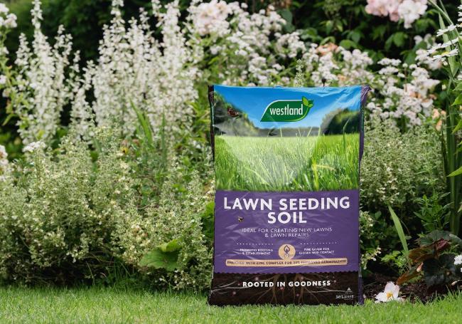 Westland Lawn Seeding Soil 30 Litre Bag