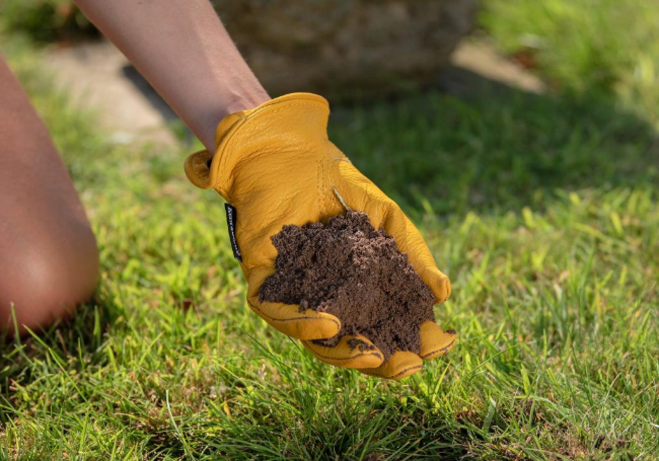 Westland Lawn Seeding Soil 30 Litre Bag