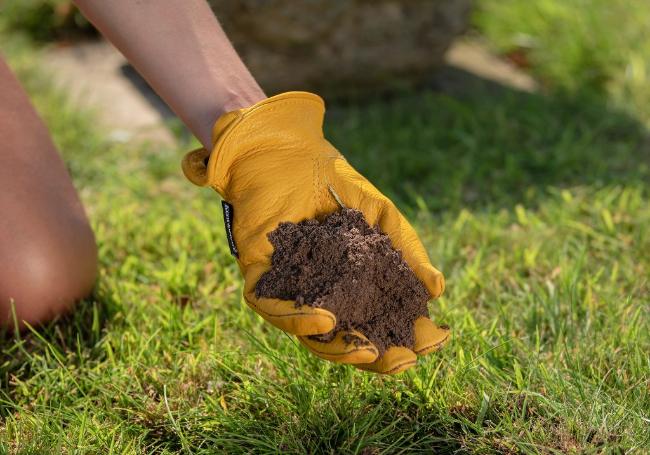 Westland Lawn Seeding Soil 30 Litre Bag