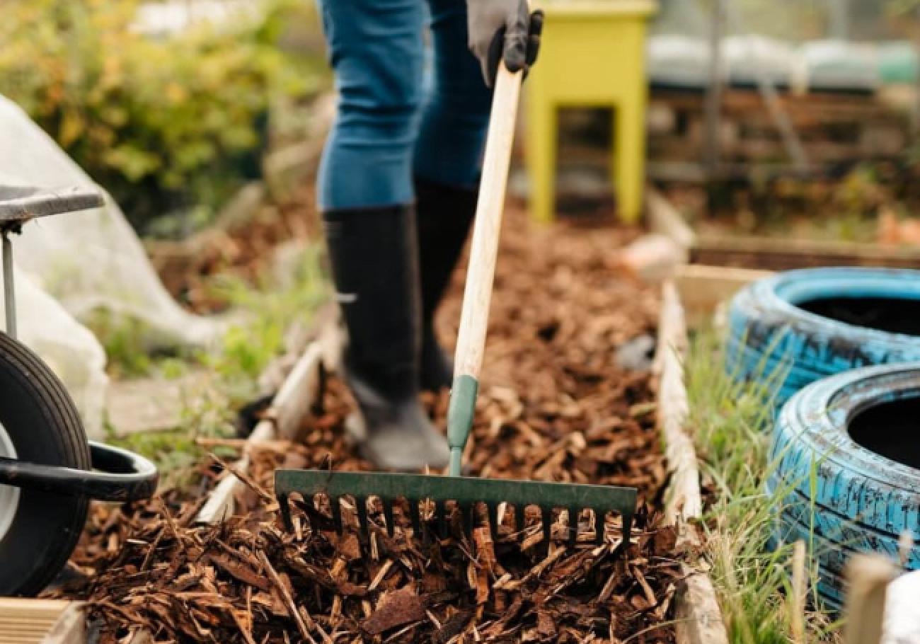 Rolawn Landscaping Bark Bulk Bag