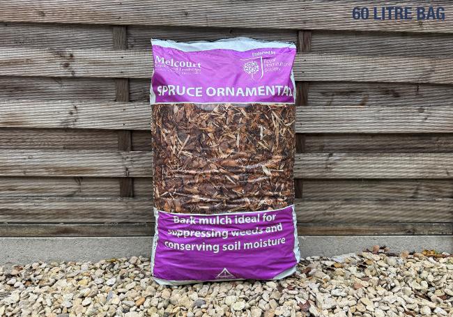 Melcourt Ornamental Spruce 