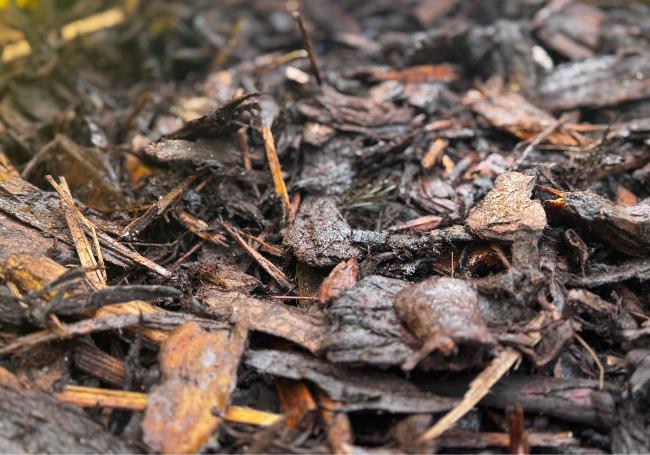 Melcourt Value Cover Mulch Jumbo Bulk Bag