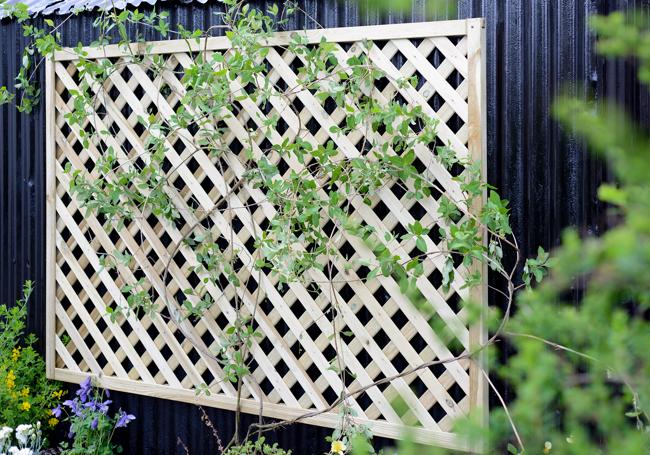 Grange Elite Lattice Trellis Fence Panels