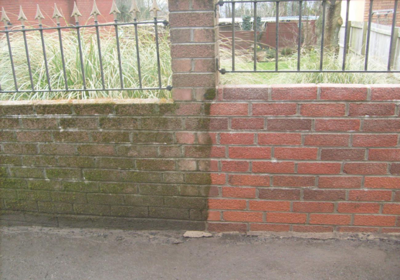 Azpects Easycare Paving Algae Remover