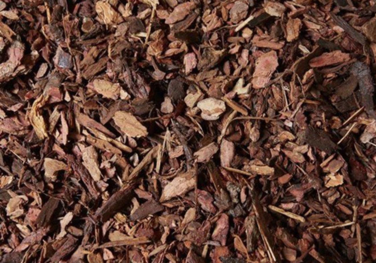 AWBS Play Grade Bark Jumbo Bulk Bag