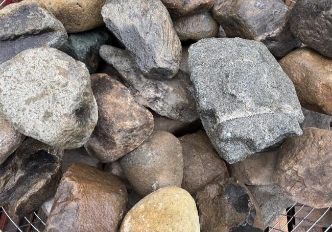 Cambrian Cobble