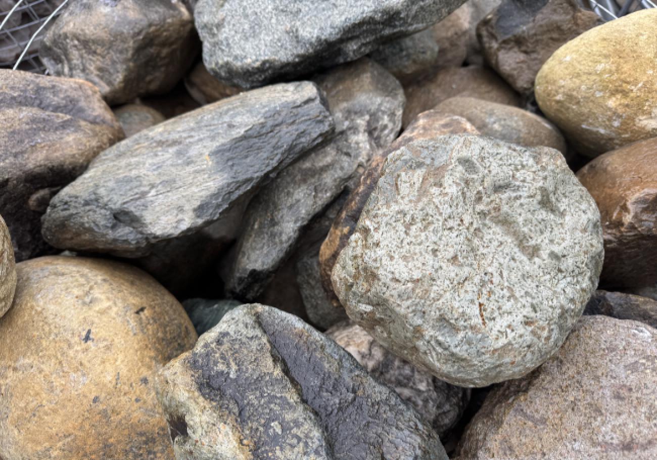 Cambrian Cobbles