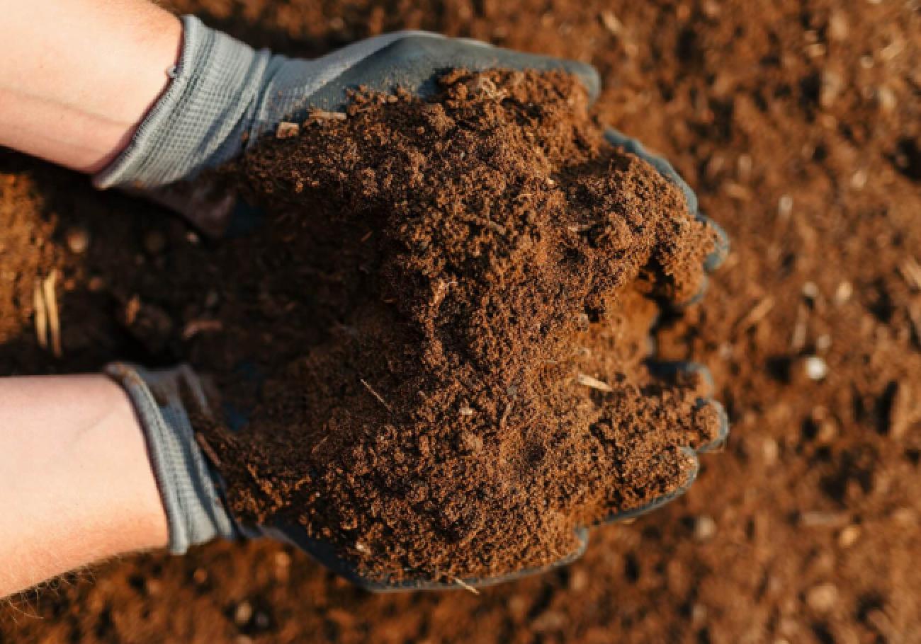 Rolawn Turf & Lawn Seeding Topsoil Rolawn Turf & Lawn Seeding Topsoil