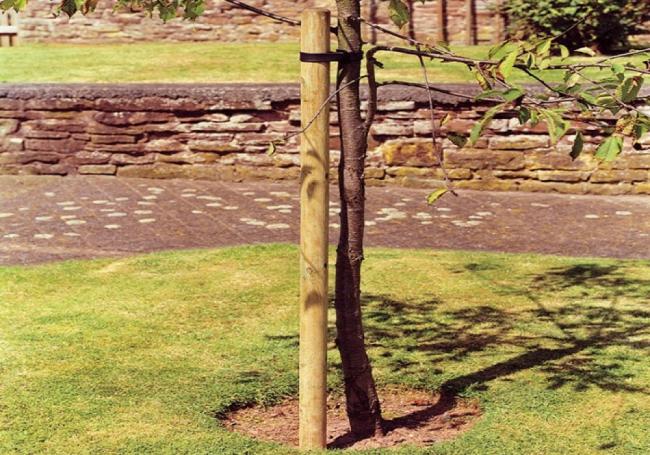 Grange Tree Pole