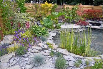 A Guide to Buying and Using Rockery Stones