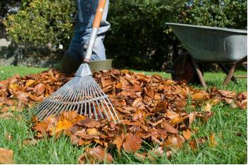 Preparing Your Lawn and Flowerbeds for Winter