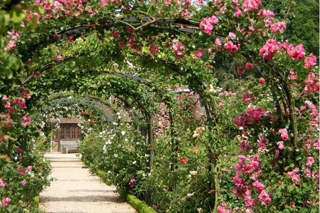 Fabulous Garden Structures for Climbing Plants