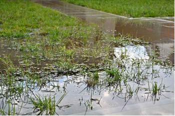 How To Prevent Surface Water Flooding Around The Home