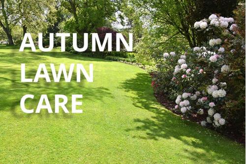 A Complete Guide to Autumn Lawn Care