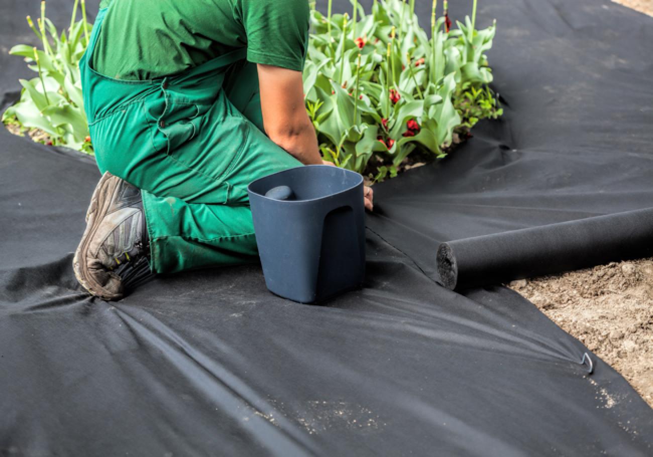 Base Deck & Border Weed Control Folded Roll