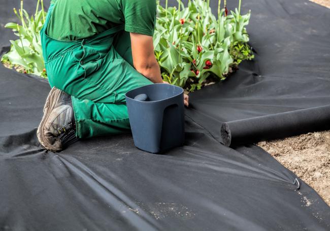 Buy TDP50 garden landscaping weed control fabric