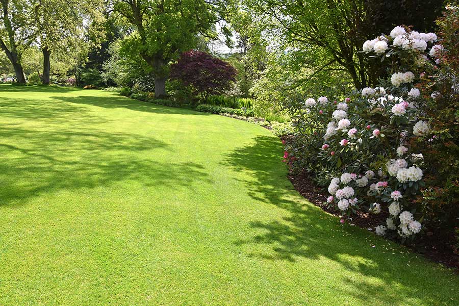 Large lush lawn in lovely condition