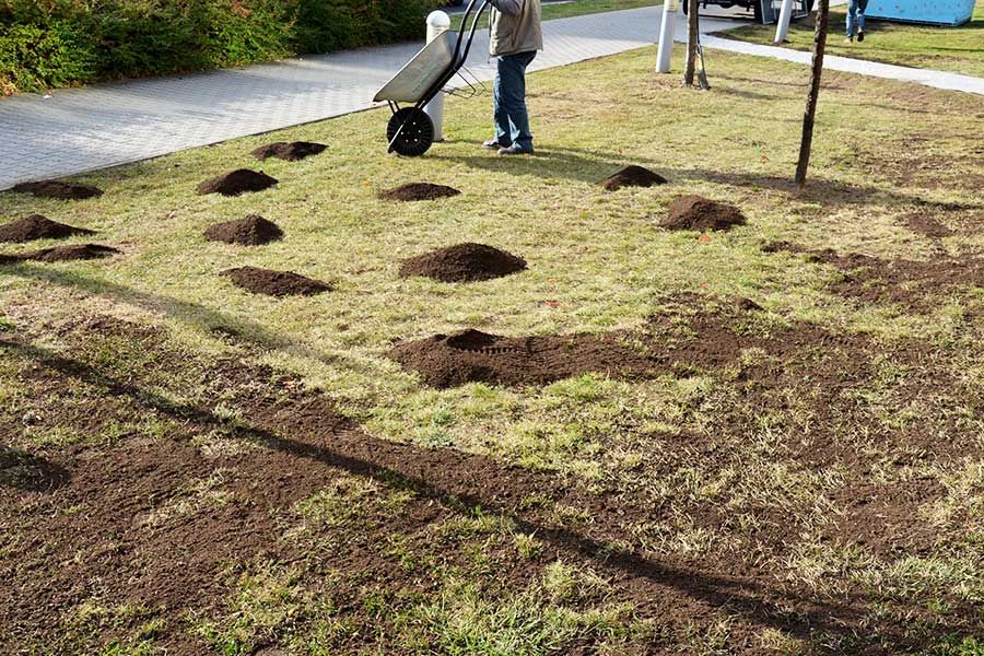 A man applying topdressing soil to level and repair a lawn