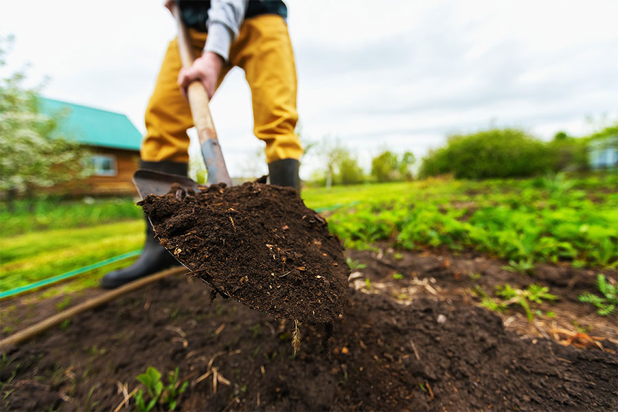 A gardener adding compost to flower beds to improve the soil in autumn