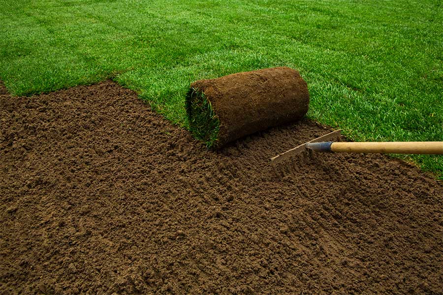 Gardener laying new rolls of turf to replace a dead lawn