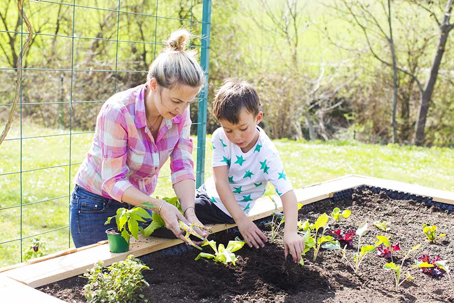 Mother and daughter planting spring vegetables