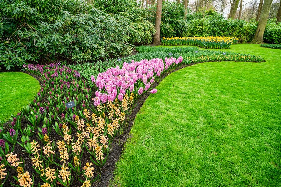 Stunning large flower beds planted with a variety of colourful flowers