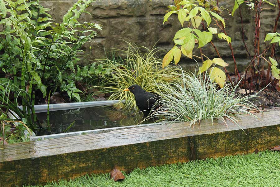 Wooden sleepers used to created a raised garden pond