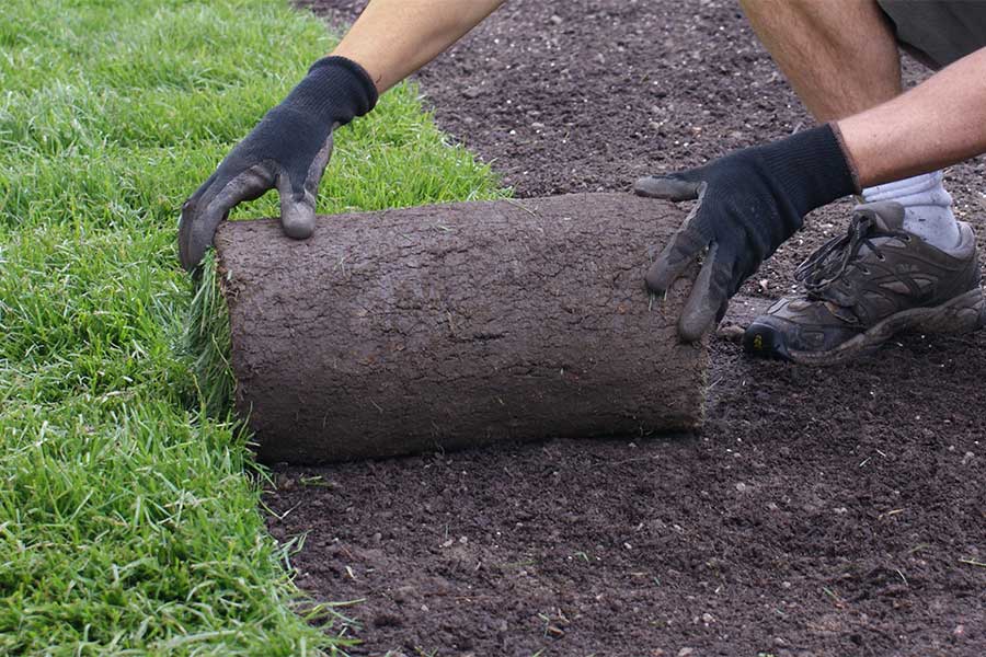 Man laying new rolls of turf in a garden