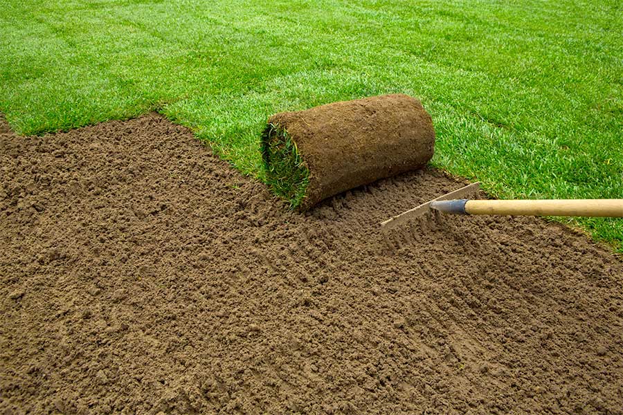 Laying rolls of Rolawn turf on freshly prepared soil