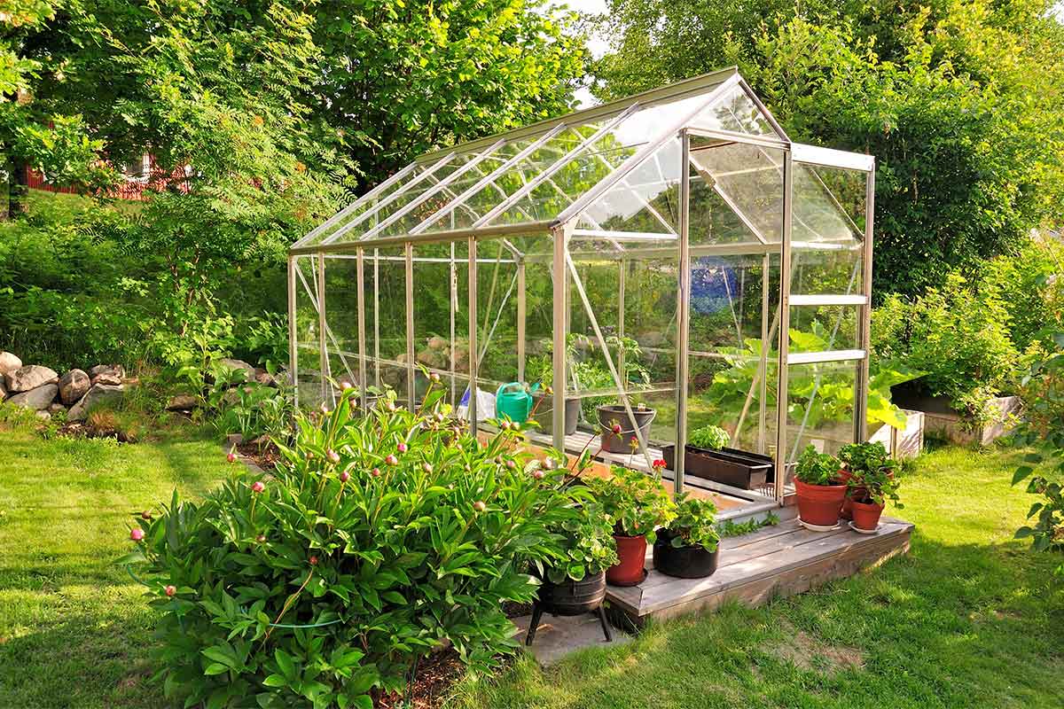A freshly cleaned garden greenhouse ready for winter