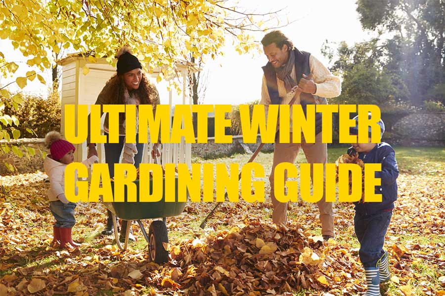 AWBS ultimate winter gardening guide article cover image