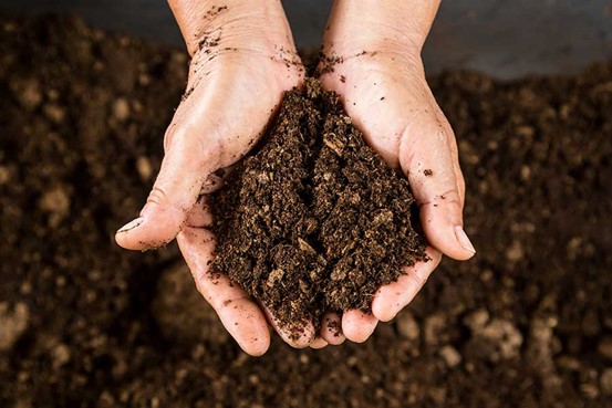 What is topsoil?