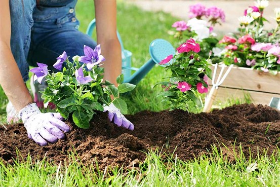 Soil for planting and flower beds